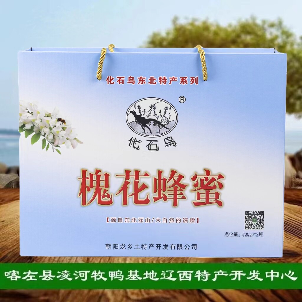 化石鸟东北特产槐花蜂蜜500g*2瓶礼盒装  蜂蜜