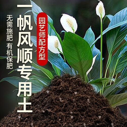 一帆风顺专用土白掌植物土家庭种植土花卉阳台土壤一帆风顺营养土