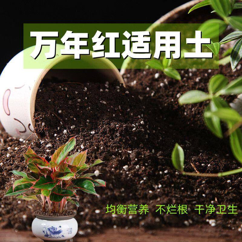 万年红适用土酸性种花种菜营养土通用型疏松透气种植土松软有机土