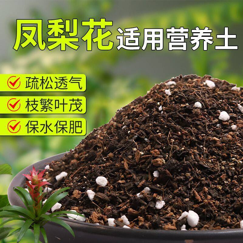 【凤梨花专用土】疏松透气盆栽绿植专用室内植物有机营养土肥料