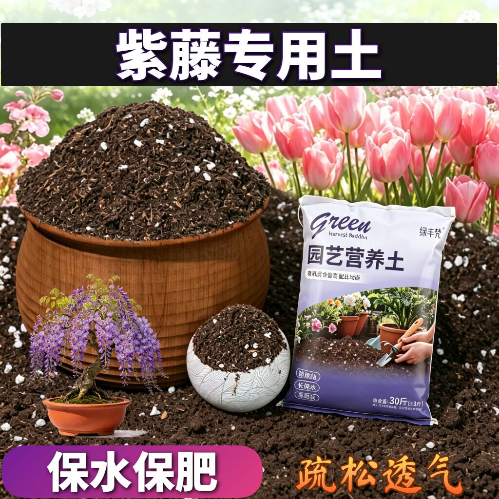 紫藤适用泥炭土高温腐熟高温灭菌盆栽包邮优质防黄叶观叶增色木本
