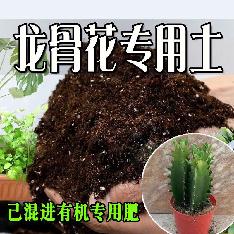 龙骨花专用土 疏松透气盆栽绿植专用室内植物营养土有机肥料种植