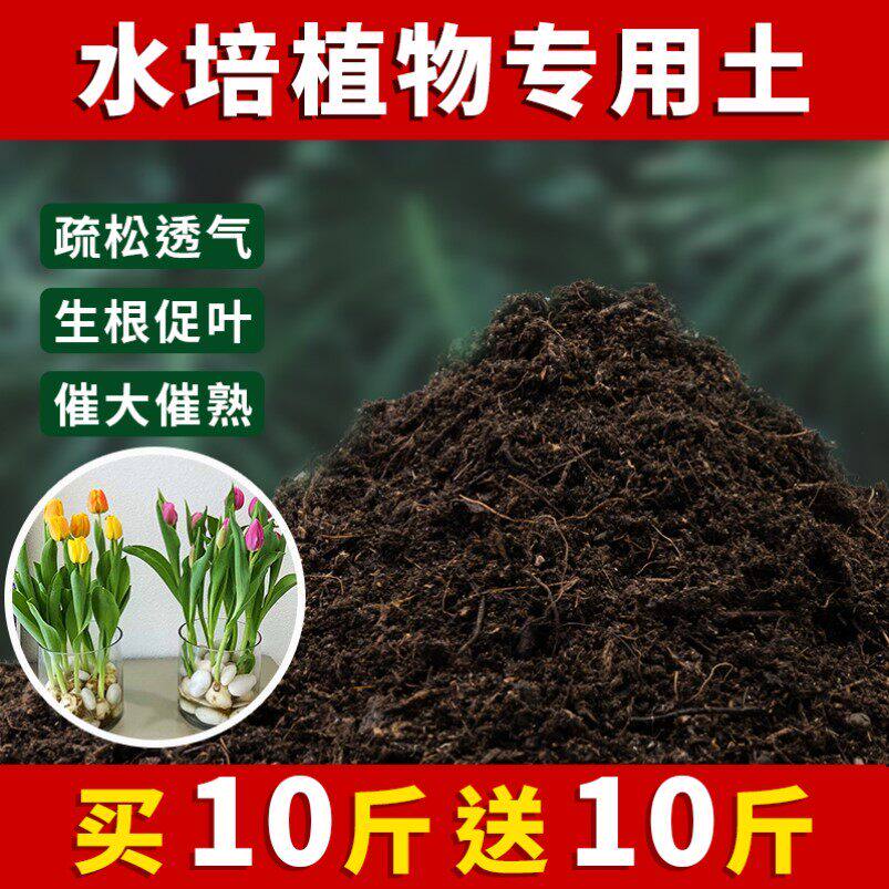 水培植物专用土盆栽土肥料养花泥土家庭阳透气种植水培植物营养土