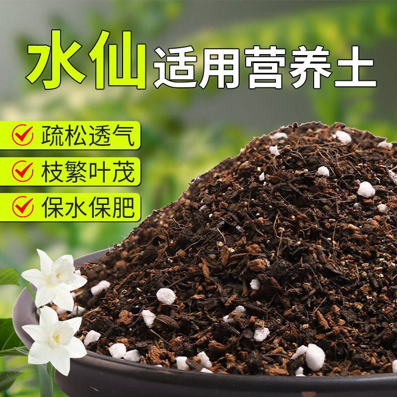 【水仙专用土】疏松透气盆栽绿植专用园艺室内植物有机营养土肥料