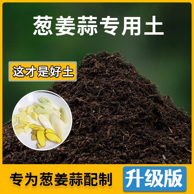 葱姜蒜专用土葱姜蒜营养土家用种植通用土壤盆栽种花养花有机土