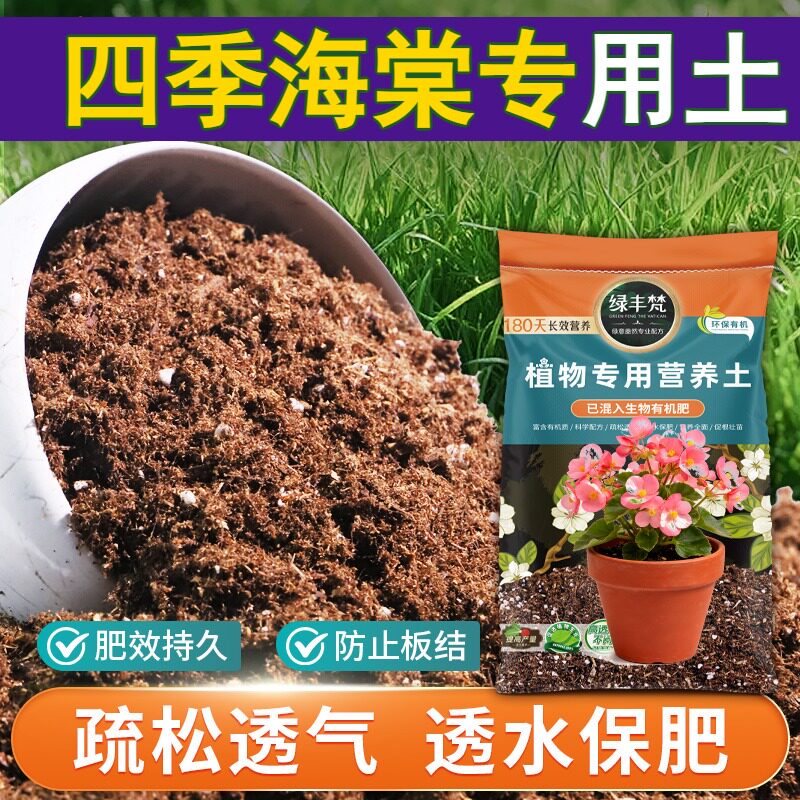 四季海棠适用轻质园艺土利于发根种植土原生材质防徒长家用装球根