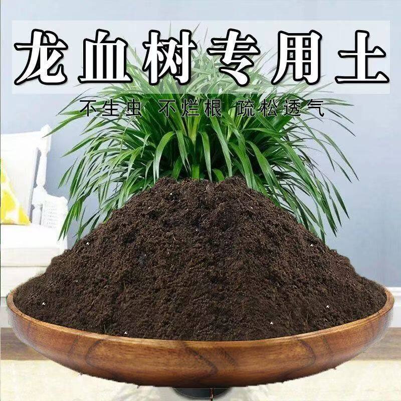 龙血树专用土龙须树专用营养土养花种花土通用种植土酸性土壤肥料