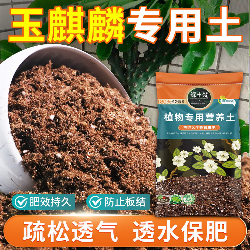 玉麒麟专用营养土轻质园艺土不板结促开花菜园屋顶种植土优质球根