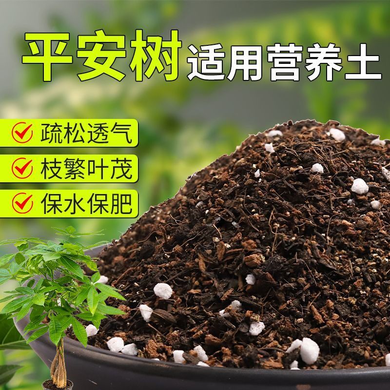 【平安树专用土】疏松透气盆栽绿植专用室内植物有机营养土肥料