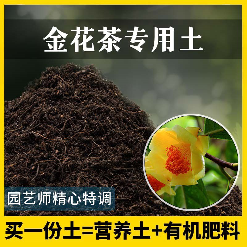 金花茶专用土家用养花有机土壤种植土金花茶营养土植物种花盆栽土