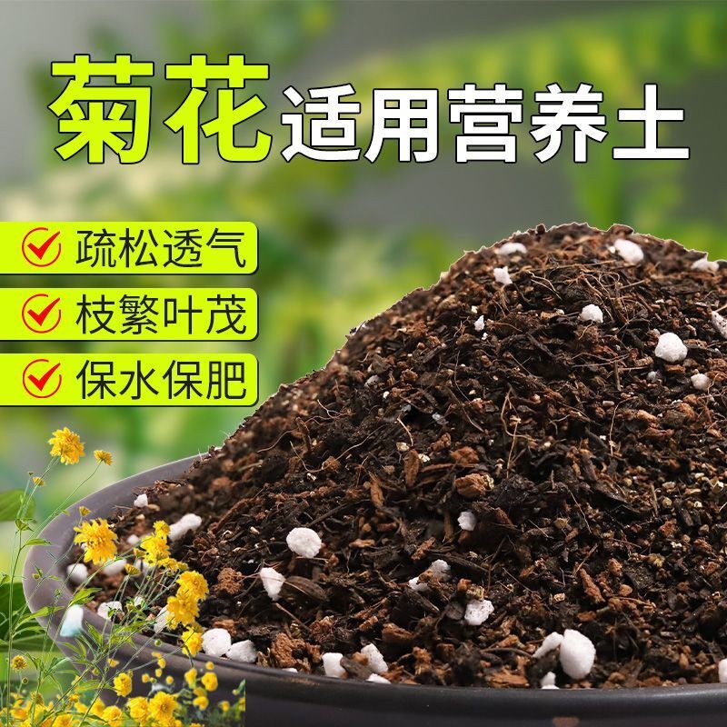 【菊花专用土】疏松透气盆栽绿植专用园艺室内植物有机营养土肥料