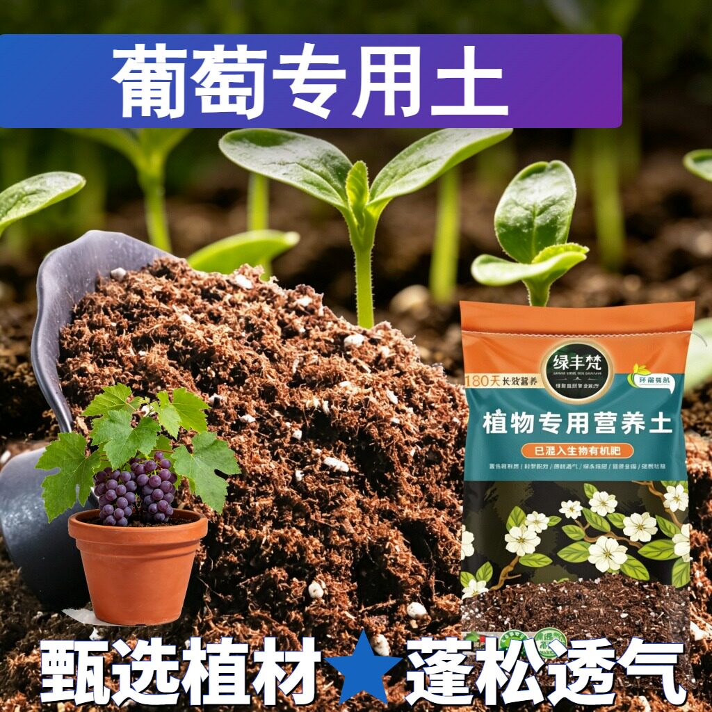 葡萄专用花泥科学配比嫁接种植土轻量基质改良基质开袋即用观叶