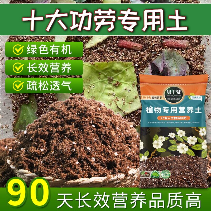 十大功劳专用花泥家庭适用多肉种植土安全可靠保护根系无草籽观叶