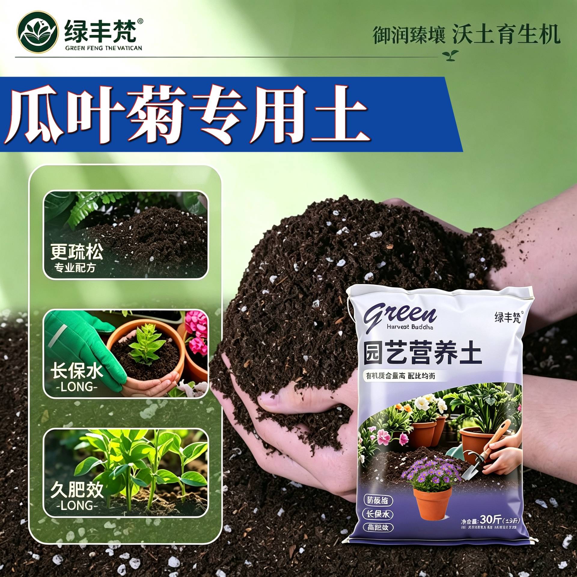 瓜叶菊专用腐叶土加珍珠岩保水锁肥盆景加深生根粉天然壮根球根