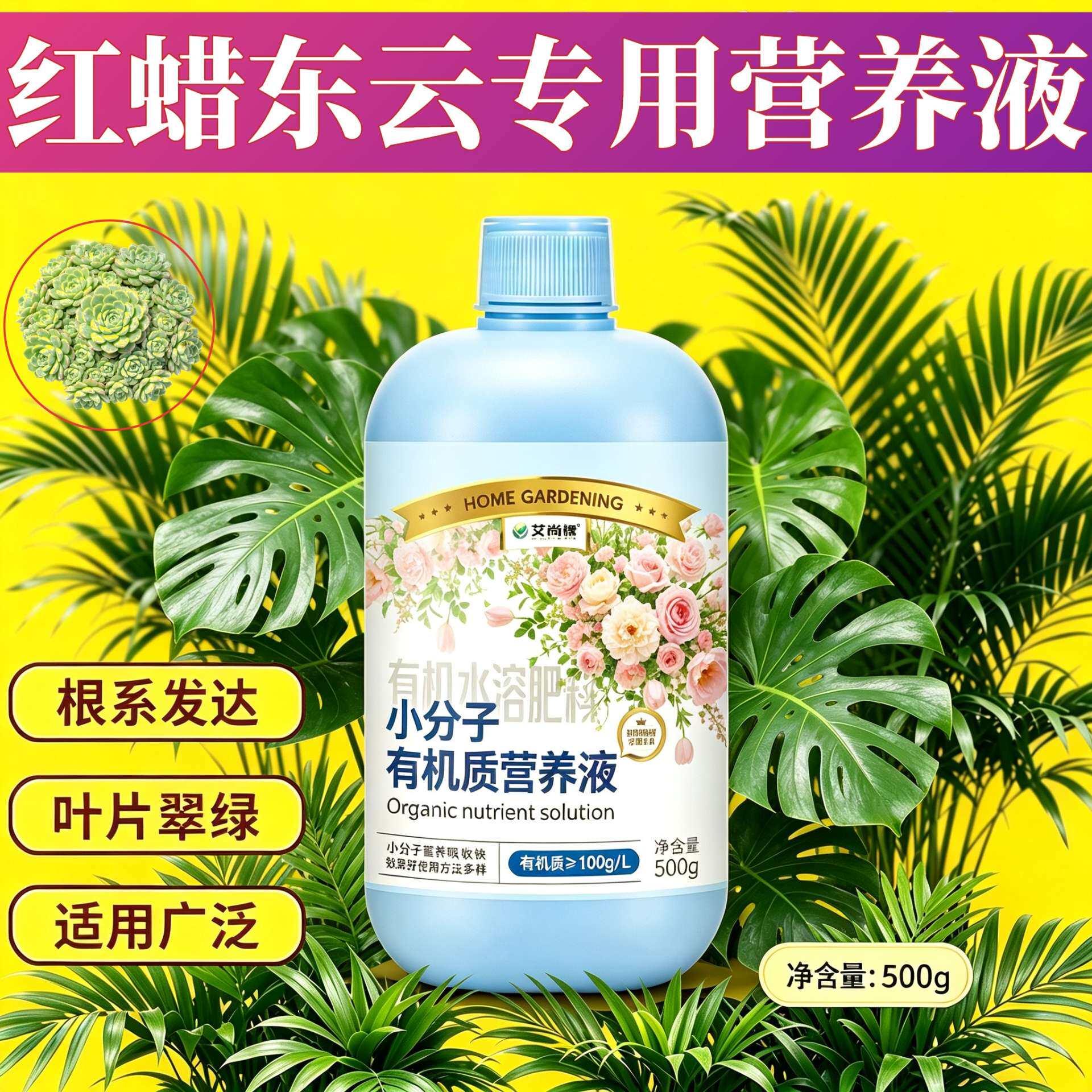 红蜡东云专用浓缩型营养液小分子有机质水溶肥兑水即用快速吸收