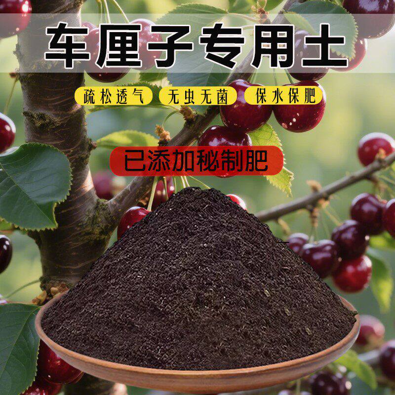 车厘子专用土车厘子专用营养土泥土肥料土有机肥透气有机土栽培土