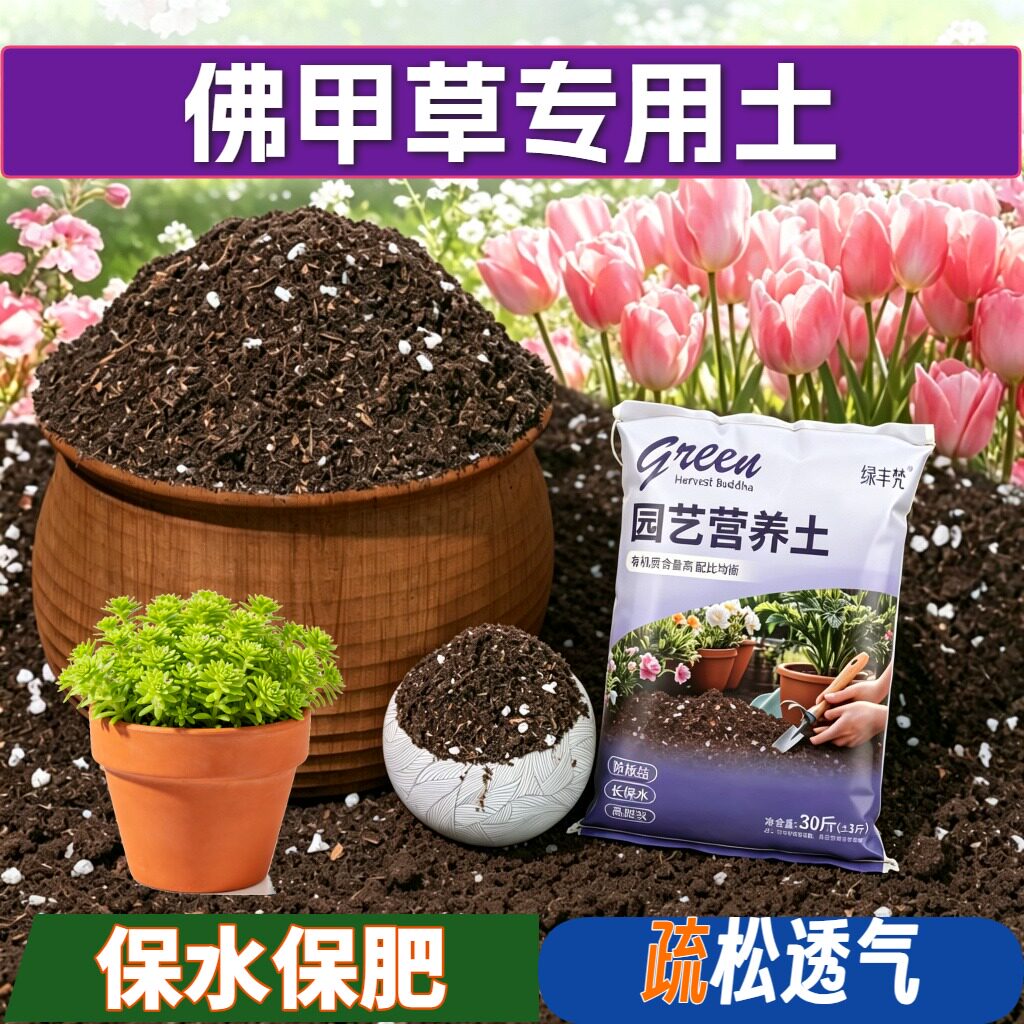 佛甲草适用轻质土保水锁肥腐殖泥炭土家庭园艺加牛粪优质绿叶球根