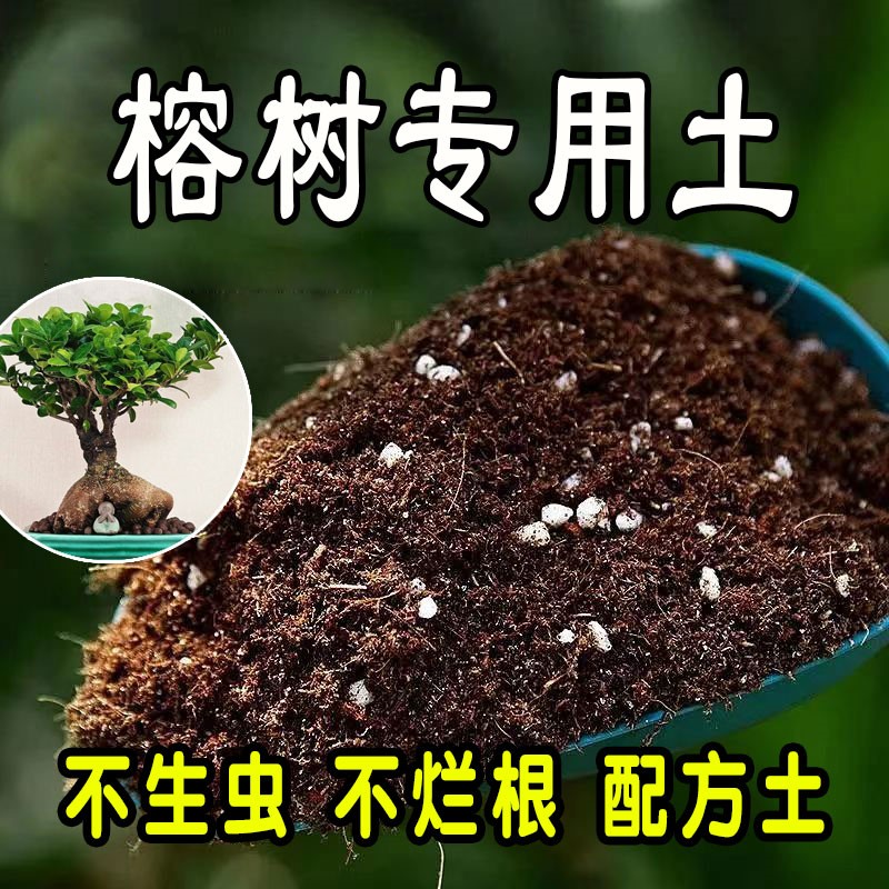 榕树专用营养土阳台盆栽草莓种植有机土壤通用型草莓营养土壤