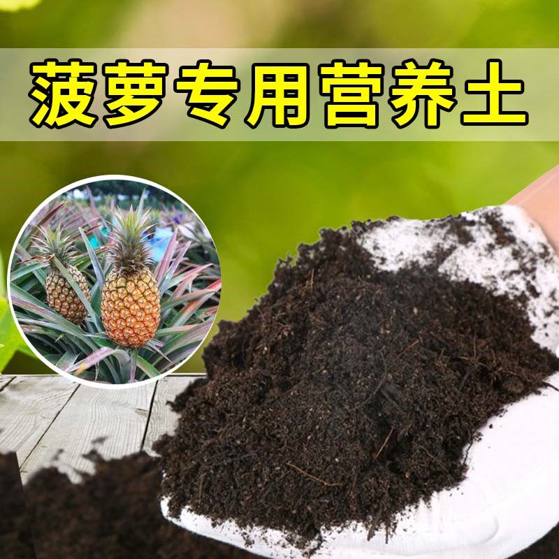 菠萝专用土农业果园种植土菠萝营养土家庭果树有机肥料土壤盆栽土