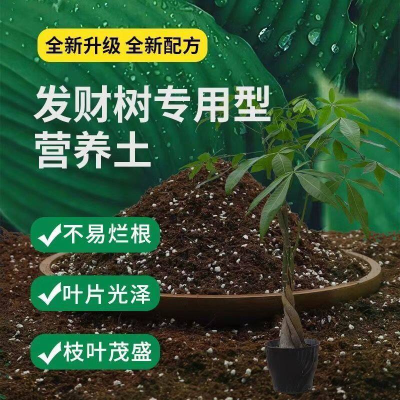 发财树专用土盆栽土种植土营养土通用透气家庭种花养花土有机肥料