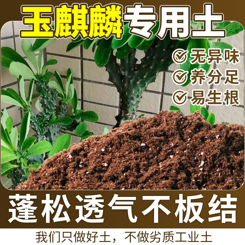 玉麒麟适用轻质有机土配比均衡盆栽土精配原料涵养养分无草籽喜酸