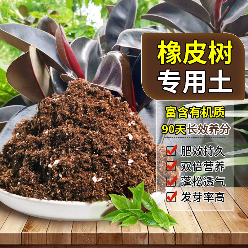 橡皮树专用配方土腐殖土不板结保水保肥桌面扦插专用土种植土增色