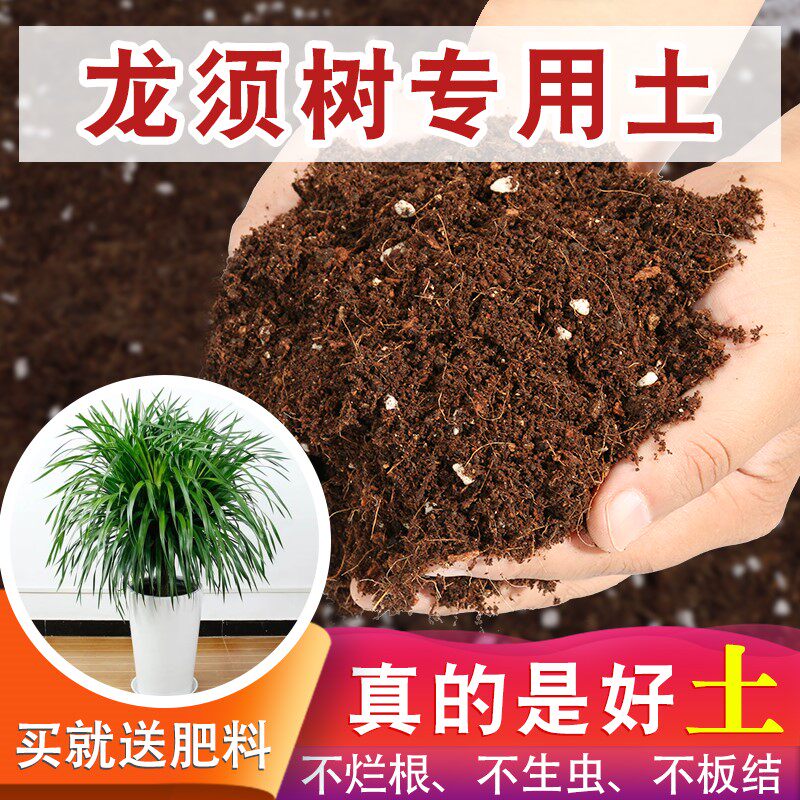 龙须树专用土室内盆栽营养土养花通用专用泥土种植土花泥花土花卉
