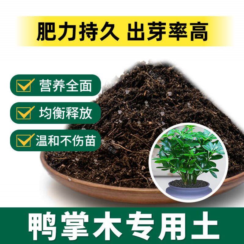 鸭掌木专用土肥料鸭脚木营养土蓬松养花黑土家庭园艺育苗花草花土