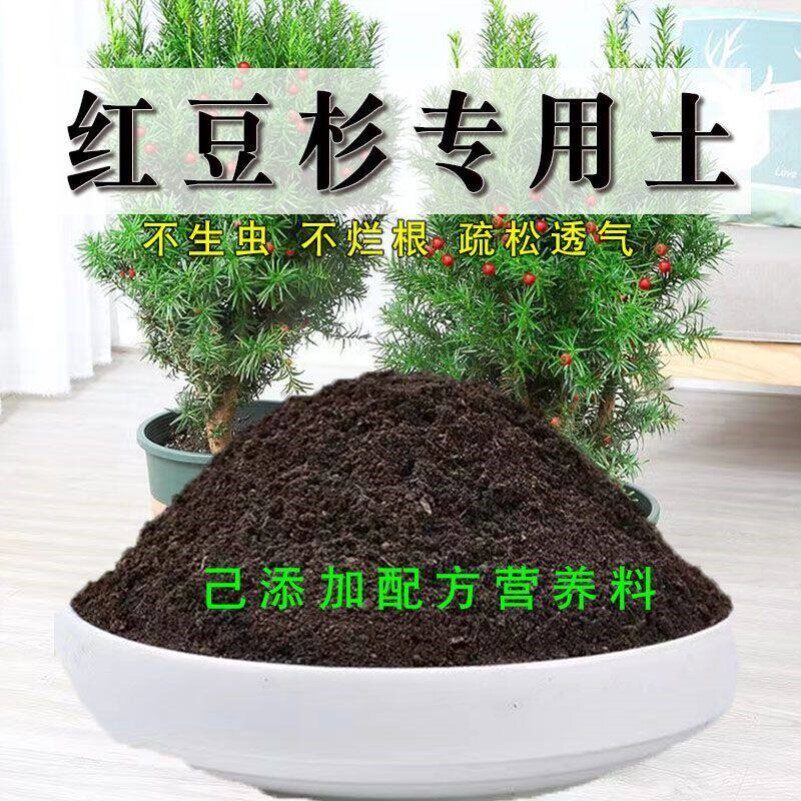 红豆杉专用土盆栽有机花土种