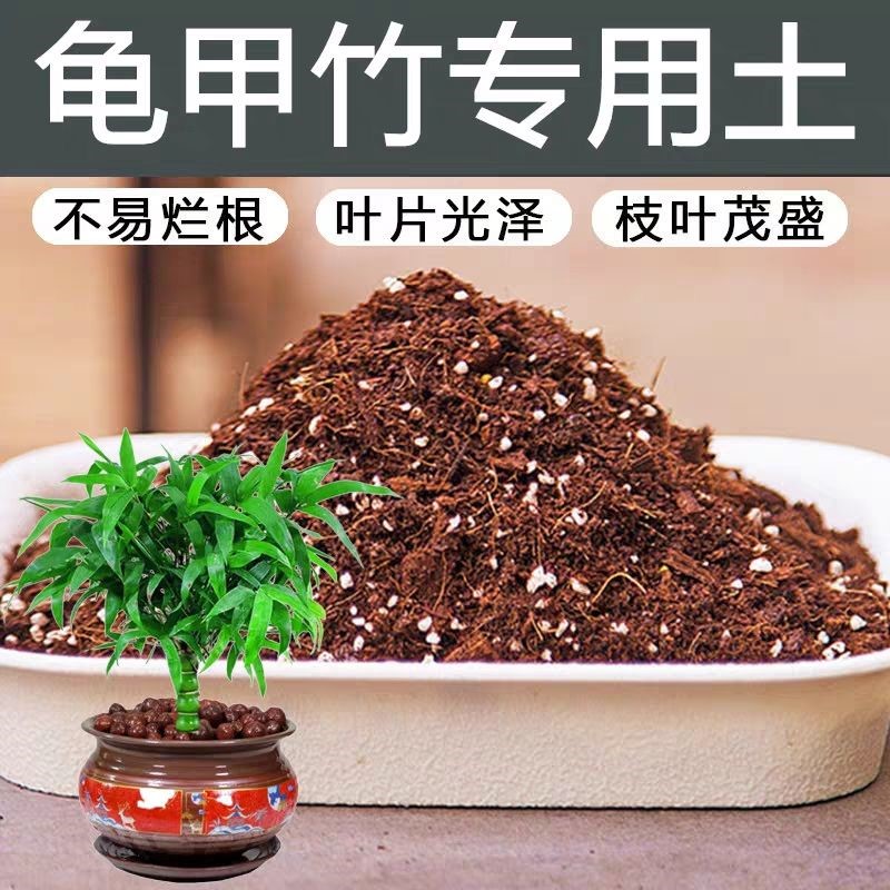 龟甲竹专用轻质有机土泥炭土促开花园艺嫁接营养土无虫卵多肉进口
