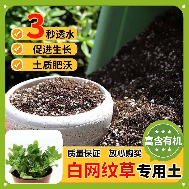【白网纹草专用土】家用盆栽土加生根粉绿植专用有机植物营养肥料