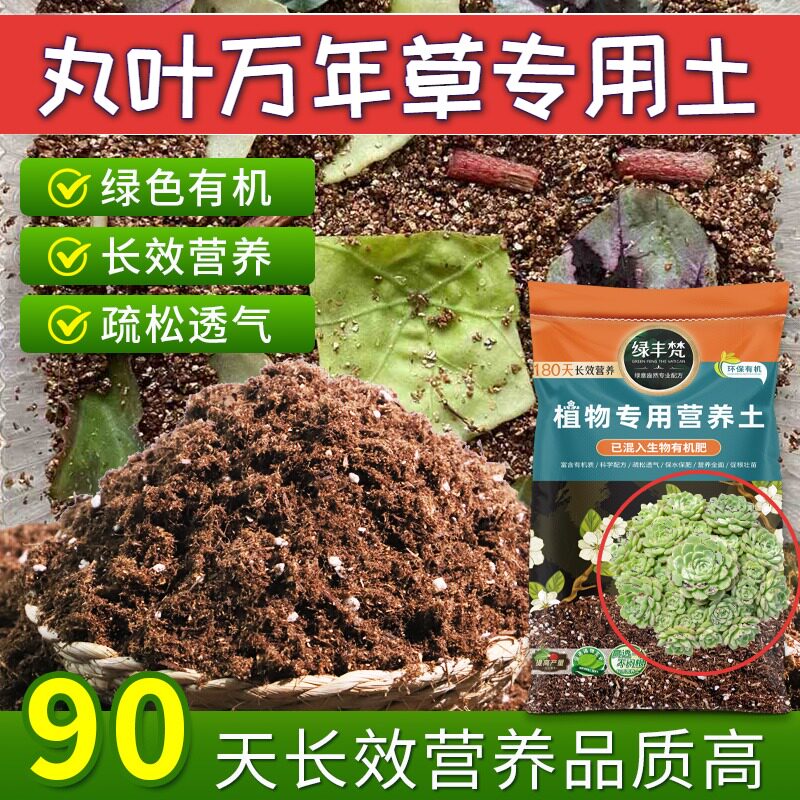 丸叶万年草专用基质蓬松多孔菜园盆栽土精选壮根实惠装多肉园艺土