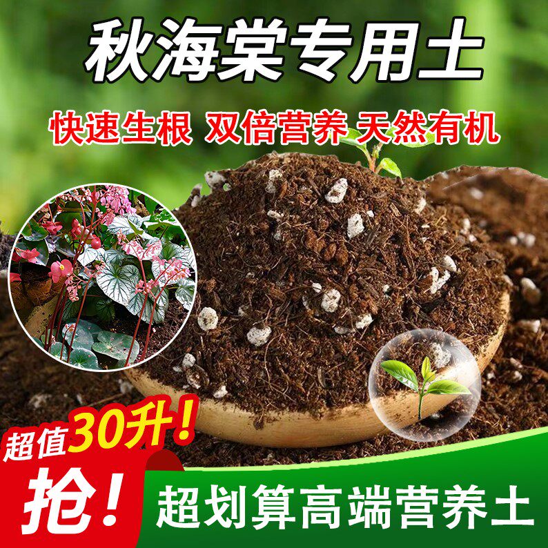 秋海棠专用土家用盆栽土绿植通用营养土养花轻质蓬松花泥有机肥料图片