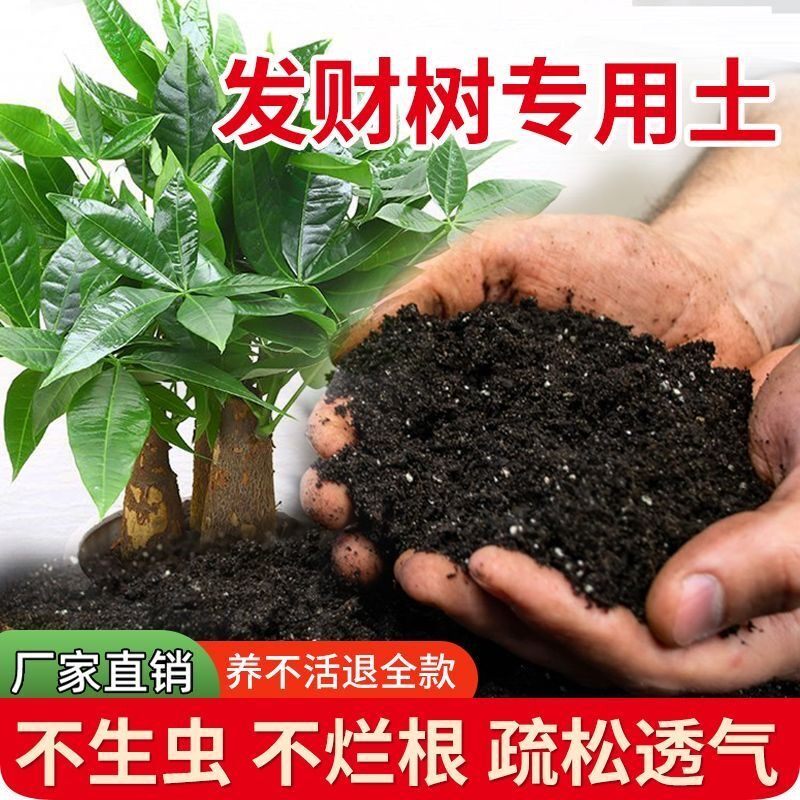 发财树专用土发财树营养土通用花土泥炭土盆栽花卉椰糠育苗种植土