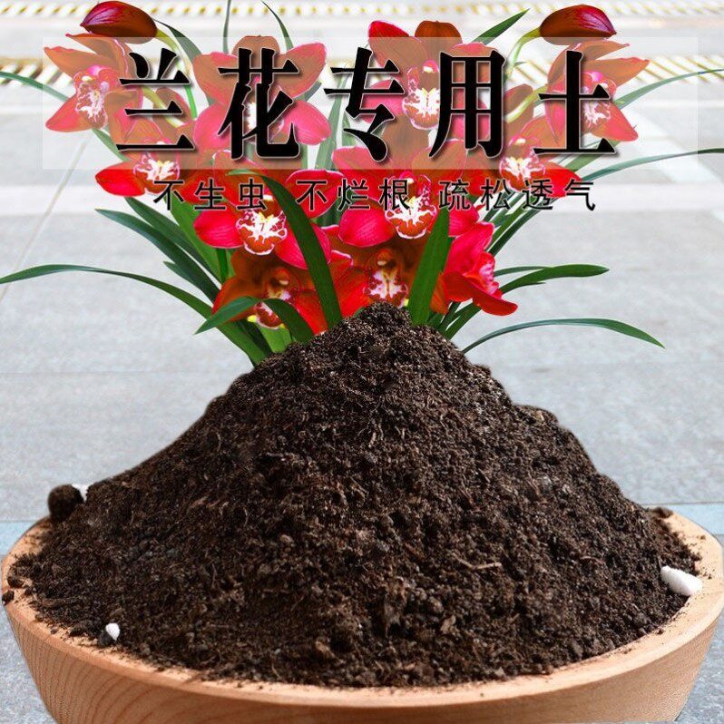 兰花专用土花盆种植土有机肥疏松盆栽土壤兰花营养土发酵有机土
