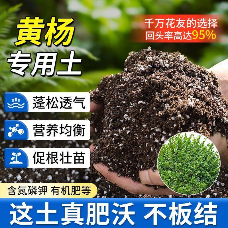 黄杨专用种植土壤盆栽营养土疏松透气有机土种花养花土育苗土肥料