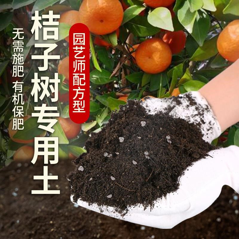 桔子树专用土肥料土壤天然透气桔子树营养土种植农业阳台盆栽泥土