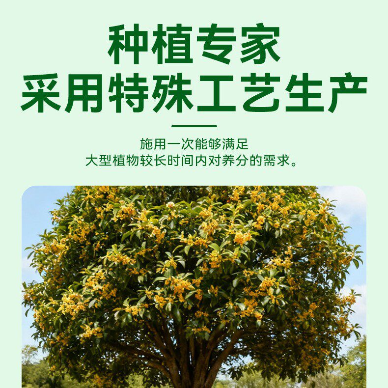 棒叶虎皮兰适用肥水溶肥养花肥花多色艳根系发达室内底肥花肥盆栽