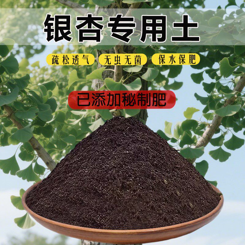 银杏专用土银杏营养土种植土家用盆栽土肥料土椰砖土栽培土通用土