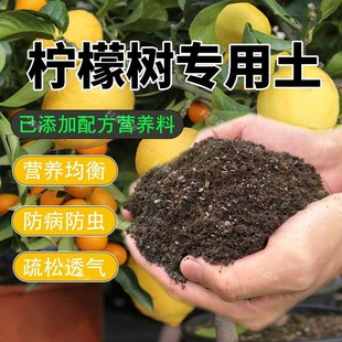 柠檬树专用土有机土阳台盆栽果树专用营养土肥料香水柠檬种植土壤