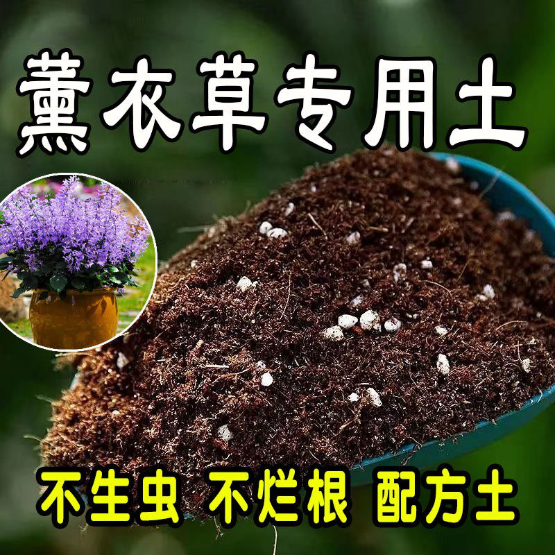 薰衣草专用营养土 薰衣草专用土 盆栽有机土花土种花养花种植土壤