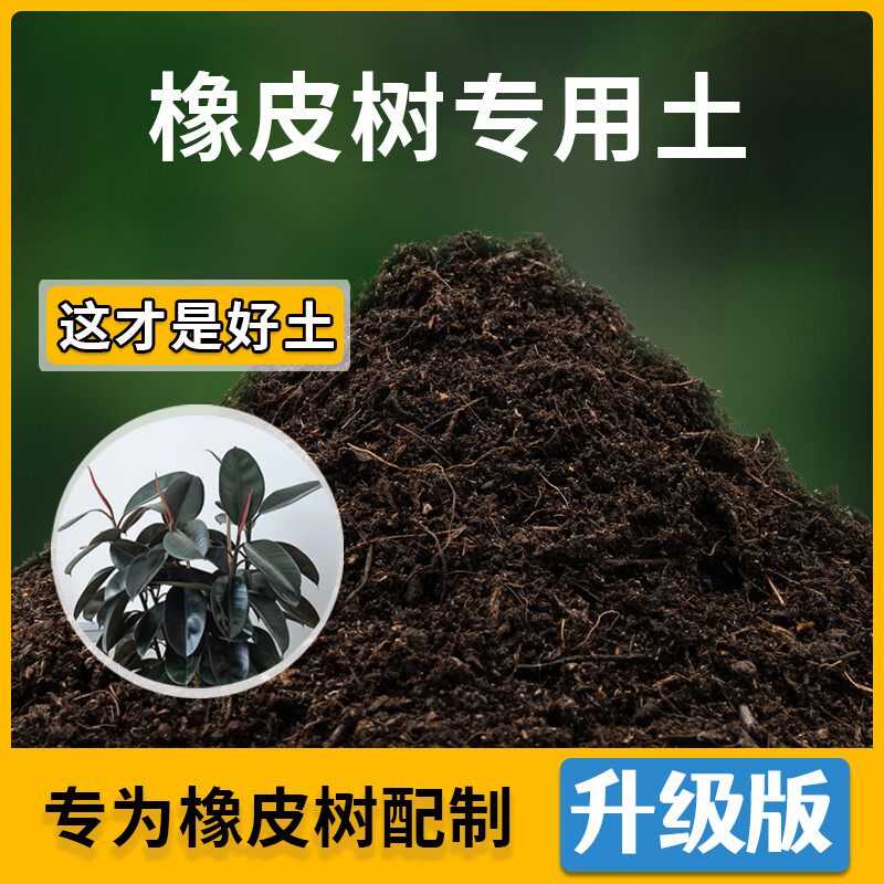 橡皮树专用土花草种植土壤橡皮树营养土盆栽种花养花肥料有机土