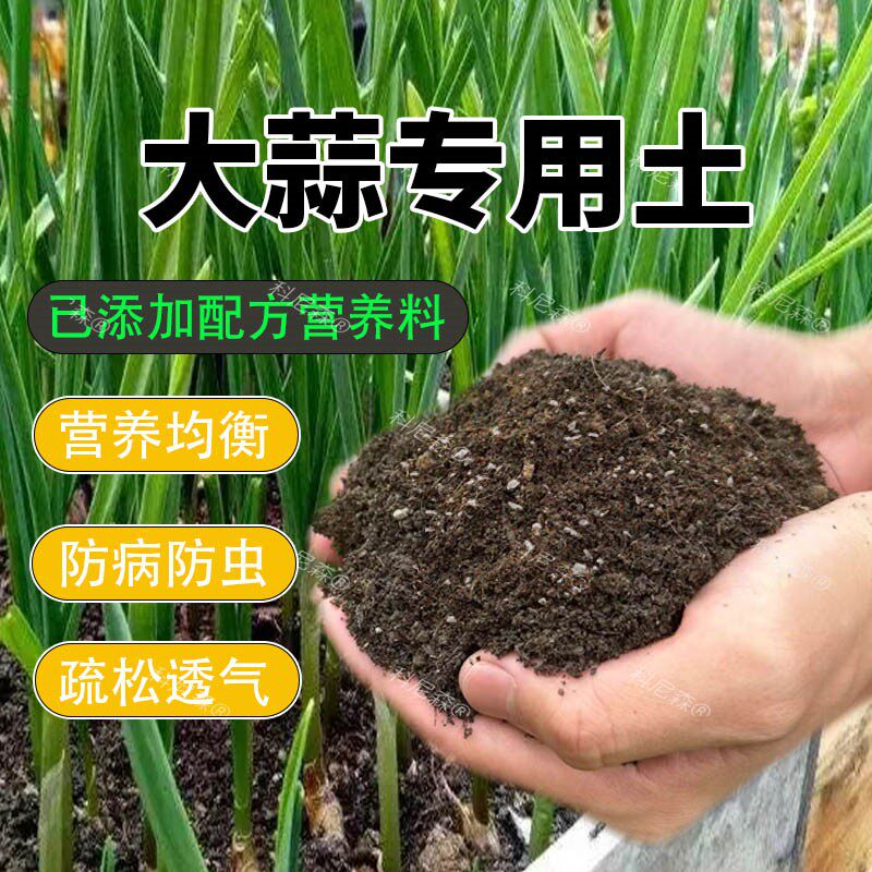 大蒜专用土疏松透气大蒜营养土家庭菜园种菜通用有机土阳台盆栽土