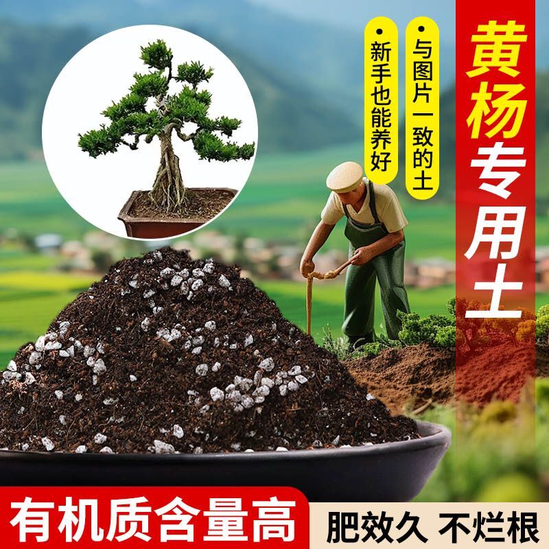 黄杨专用营养土疏松透气含泥炭肥料通用有机种植土适用土轻质土壤