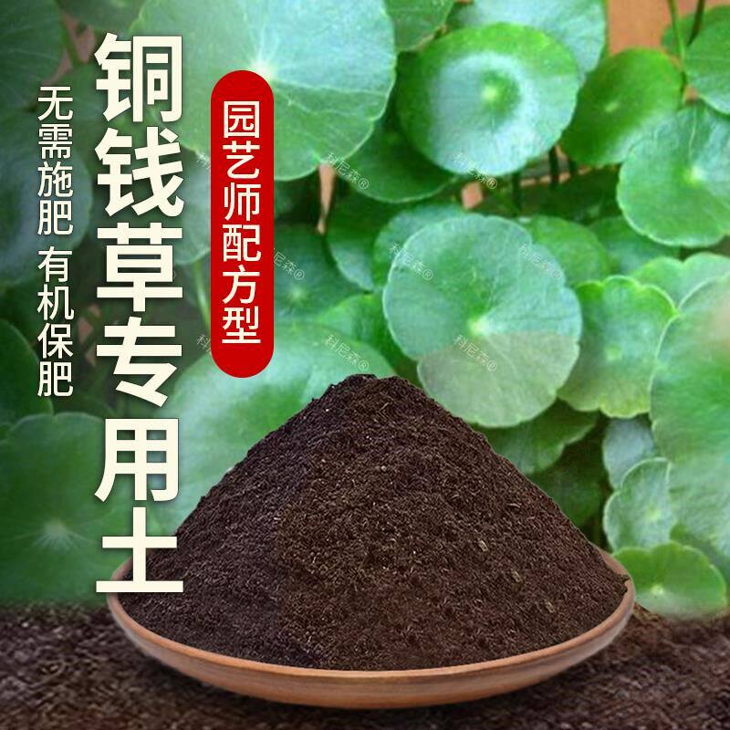 铜钱草专用土肥料家庭盆栽土壤铜钱草营养土室内花草育苗有机花土