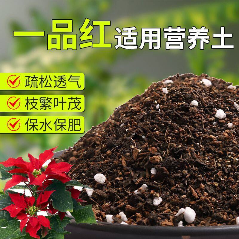 【一品红专用土】疏松透气盆栽绿植专用室内植物有机营养土肥料