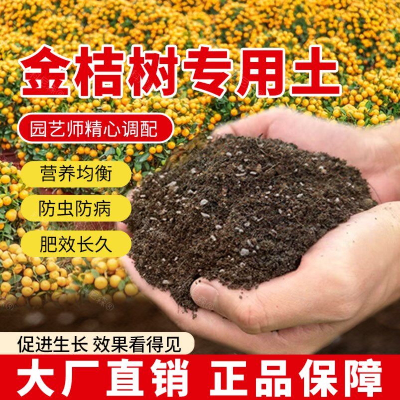 金桔专用土肥料包邮泥土通用家用阳台果树蓬松金桔种树营养土天然