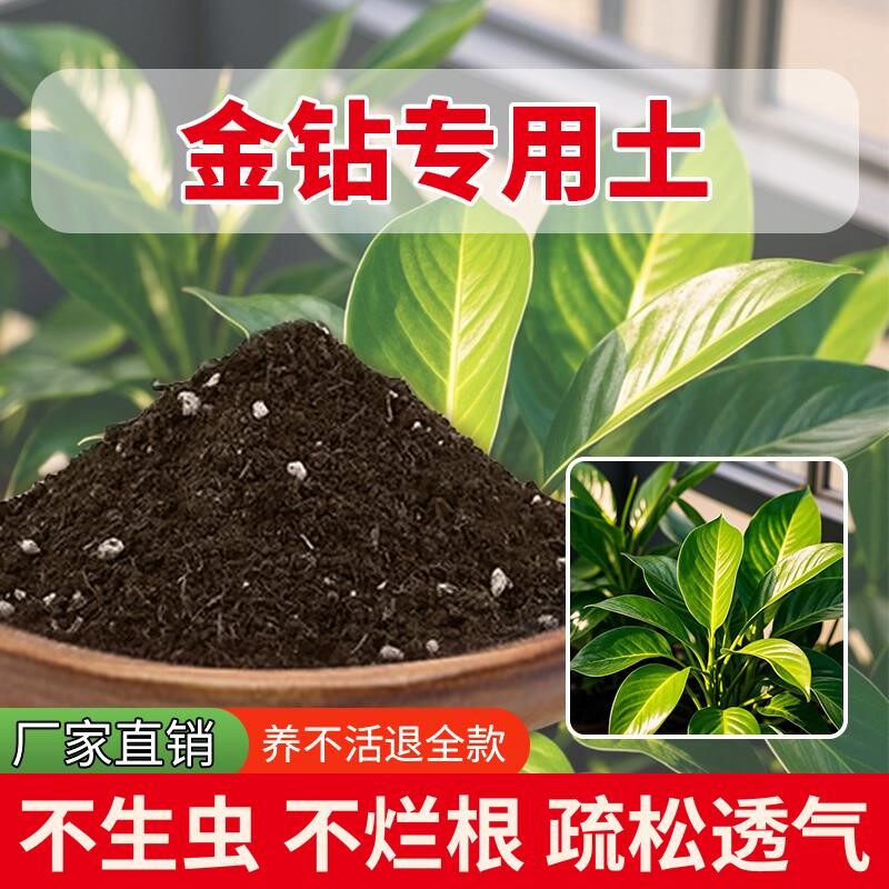 金钻专用土室内养花专用土园艺花园家庭花肥绿植通用种植透气花草