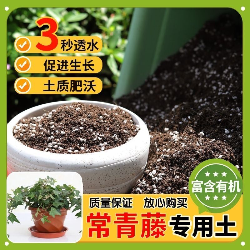 【常青藤专用土】家用盆栽土加生根粉绿植专用有机植物营养肥料土