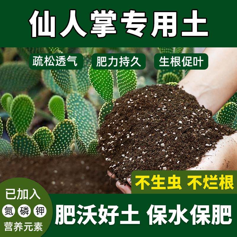 仙人掌专用土盆栽土种植土有机土植物通用植物花肥仙人掌营养土